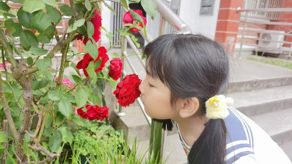 “美少女战士”的一天