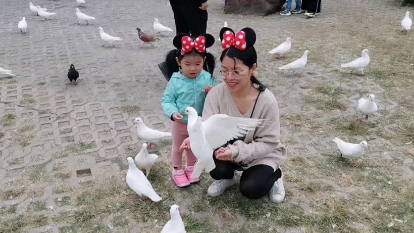 请输入图片描述